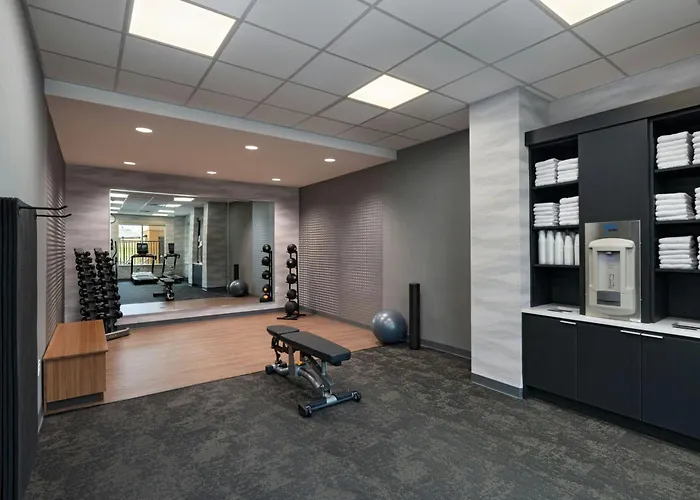 Fairfield By Marriott & Worth Alliance Airport Hotel 3*